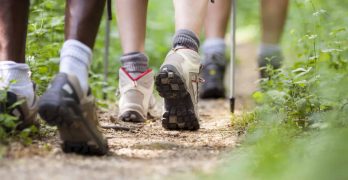 shoes of people trekking and walking in row