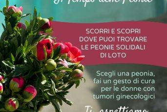 peonie 1