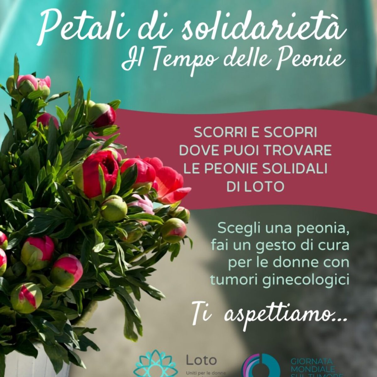 peonie 1